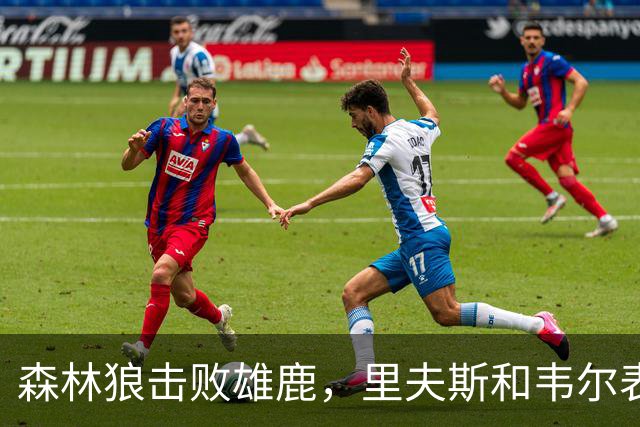 森林狼击败雄鹿，里夫斯和韦尔表现出色